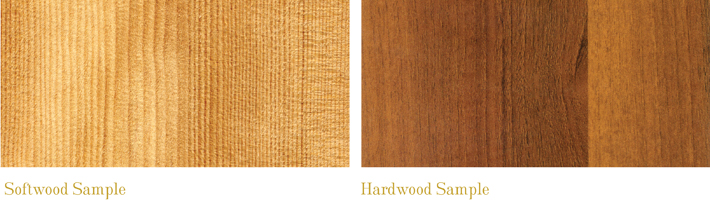 Hardwood and Softwood Samples
